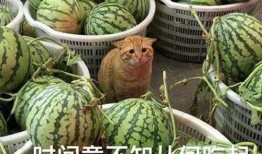 52吃瓜爆料免费吃瓜视频